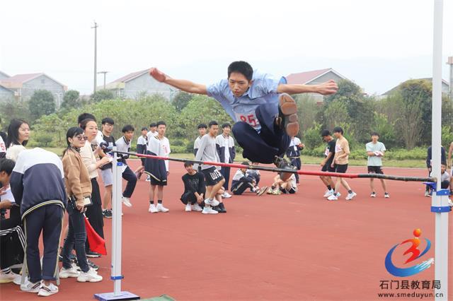 �й���BB��������ɭ(�ɷ�)���޹�˾-�ٷ���վ