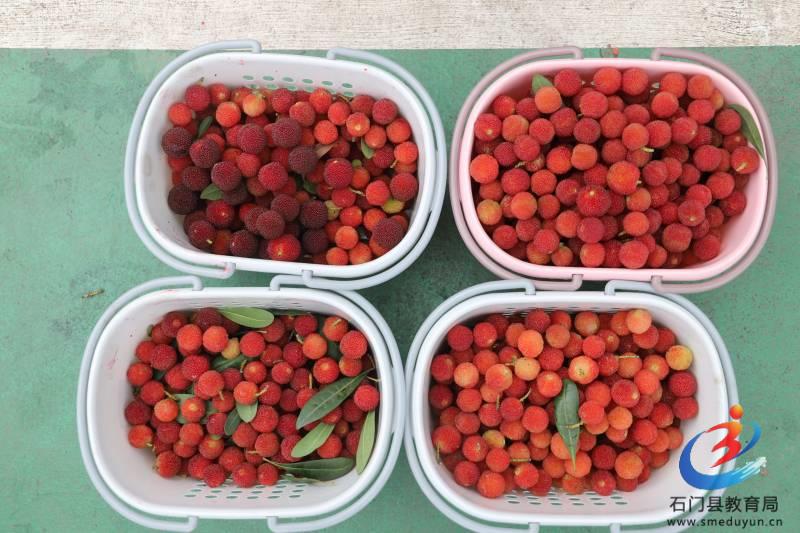 �й���BB��������ɭ(�ɷ�)���޹�˾-�ٷ���վ