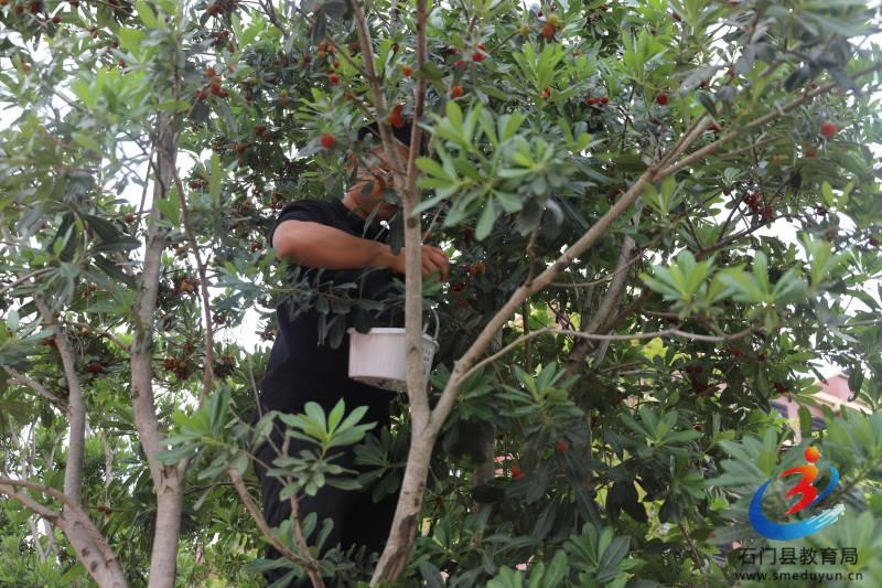 �й���BB��������ɭ(�ɷ�)���޹�˾-�ٷ���վ